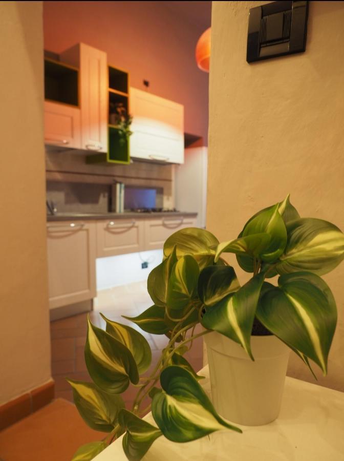Il Nido Dell'Aquila By Francigenaapartments Siena Exterior foto